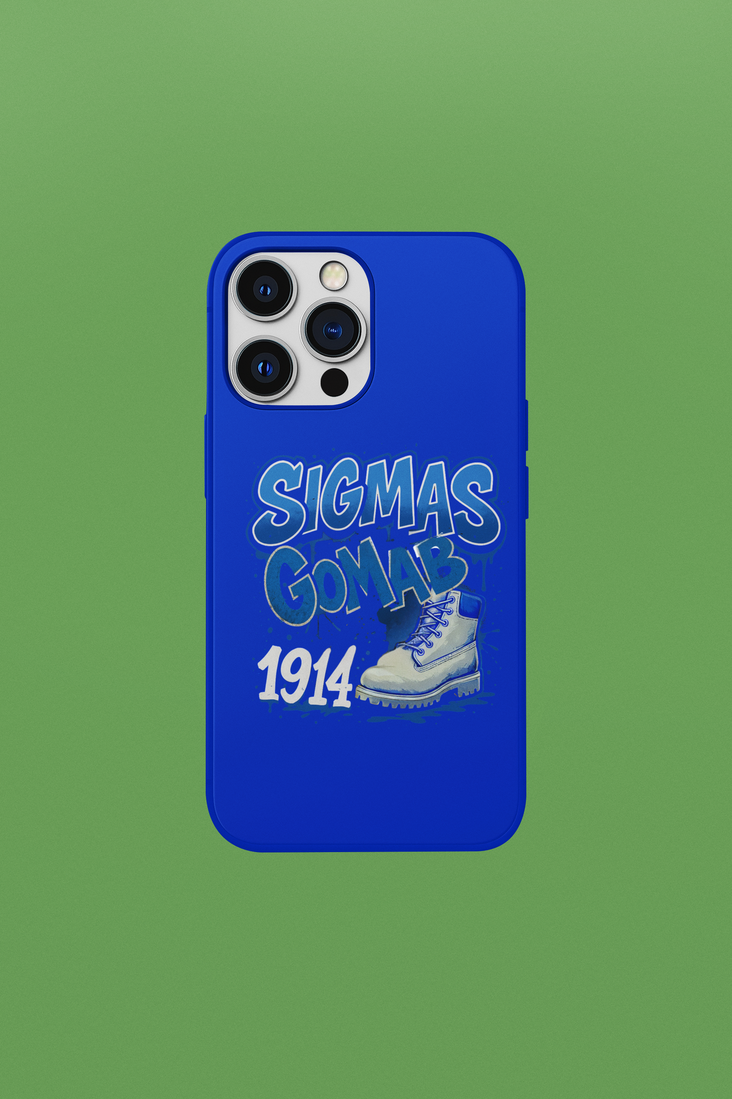 Phi Beta Sigma “They Not Like Us” Royal Case