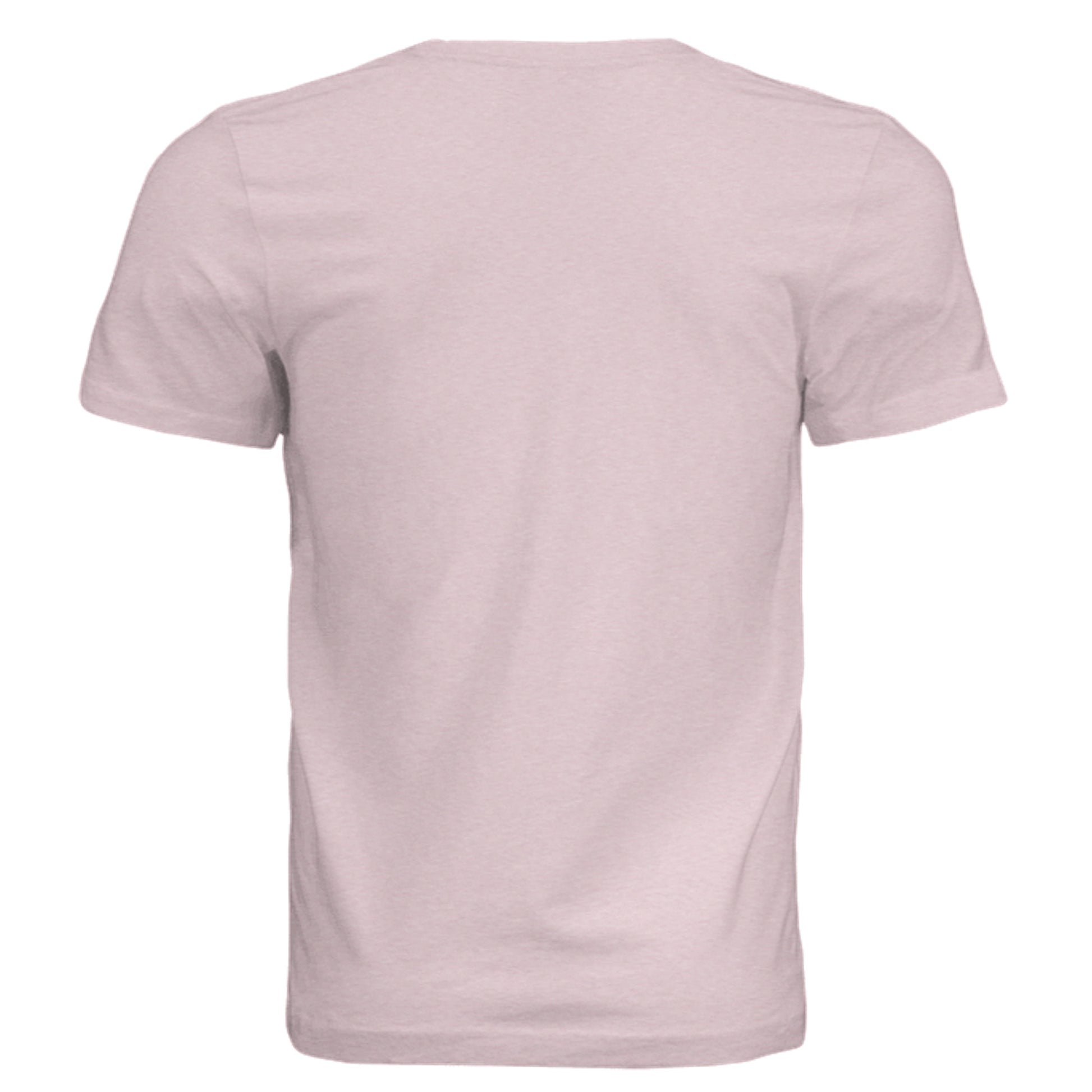 Pink Triblend - 3413C - BACK